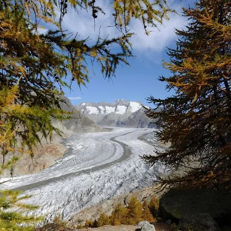 Abendgloeckli Sued Ost