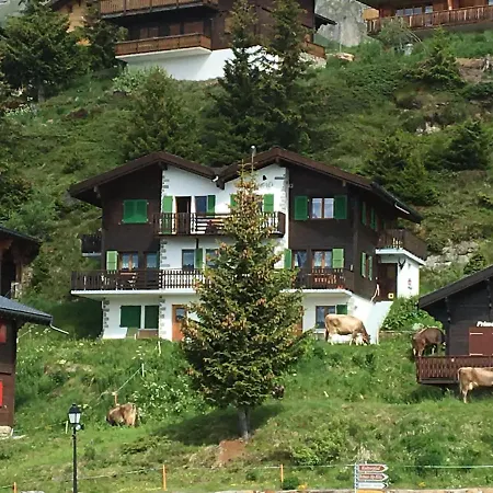 Abendgloeckli Sued Ost アパート ベットメラルプ