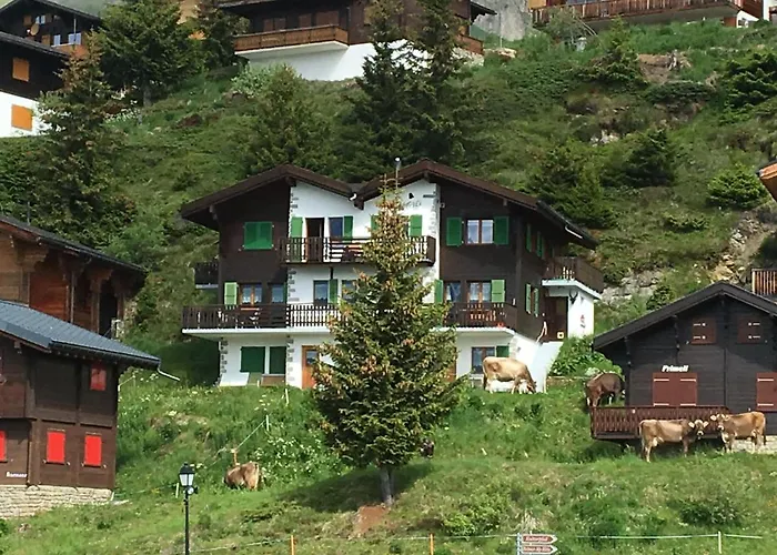 Abendgloeckli Sued Ost 아파트 베트머알프